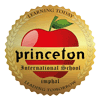 Princeton International School